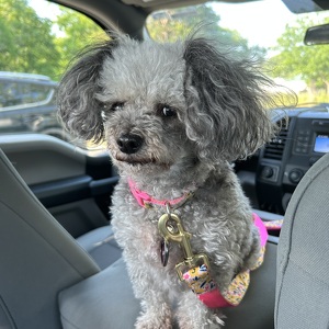 Fundraising Page: Cynthia Reed